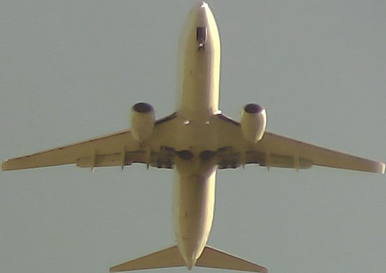 Airplane Picture