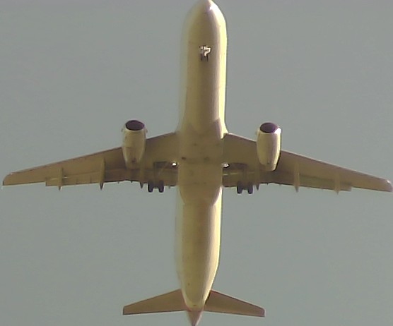 Airplane Picture