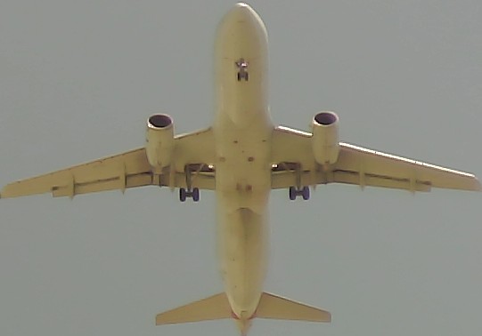 Airplane Picture