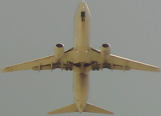 Airplane Picture