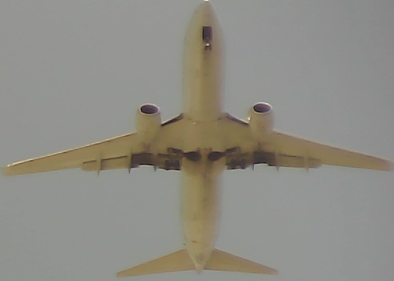 Airplane Picture