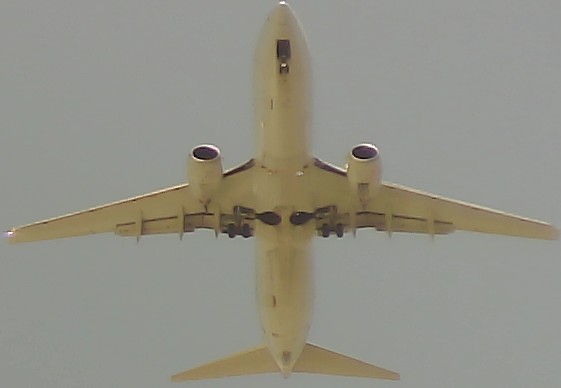 Airplane Picture