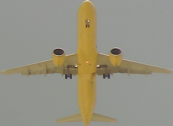 Airplane Picture