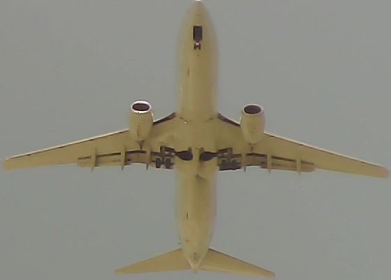 Airplane Picture