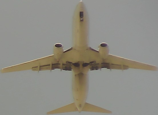 Airplane Picture