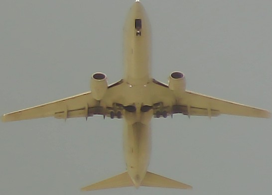 Airplane Picture