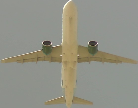 Airplane Picture