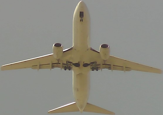 Airplane Picture