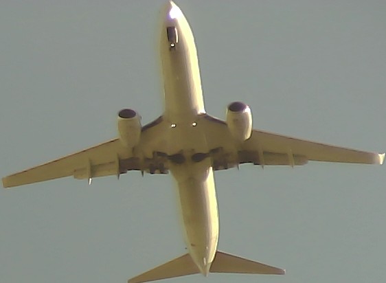 Airplane Picture