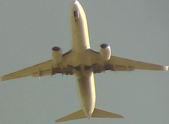 Airplane Picture