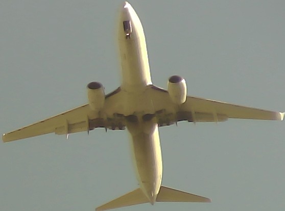 Airplane Picture