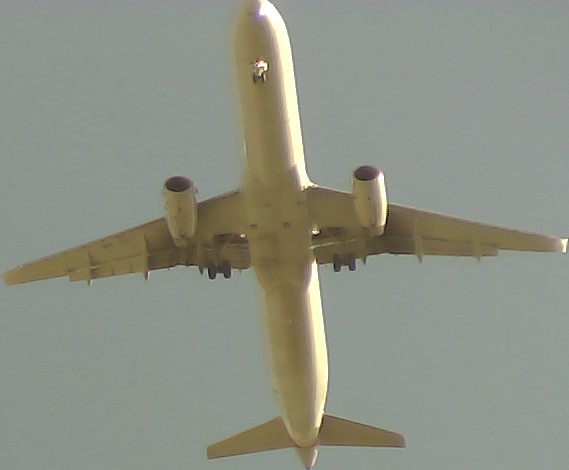 Airplane Picture