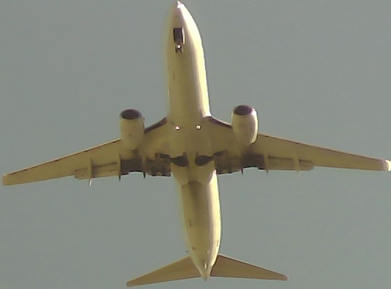Airplane Picture