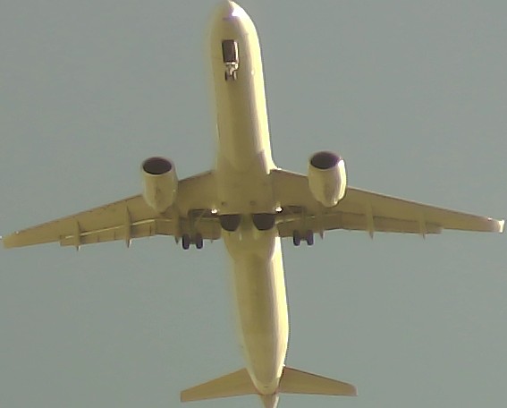 Airplane Picture