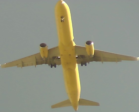 Airplane Picture