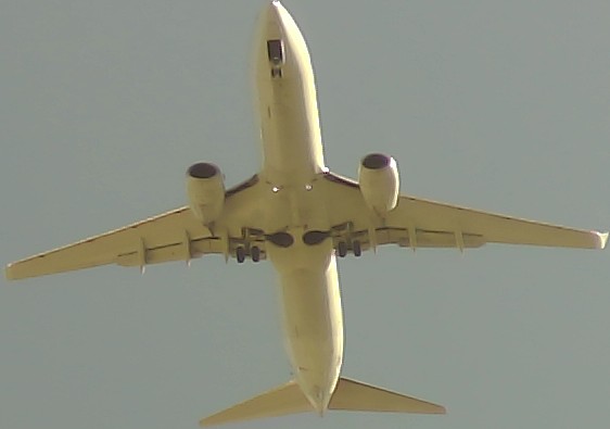 Airplane Picture