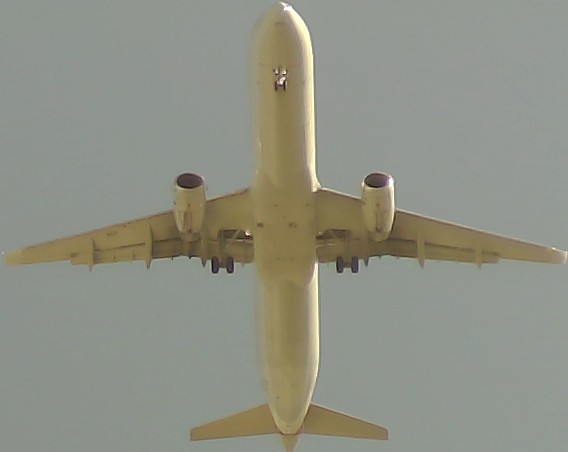 Airplane Picture