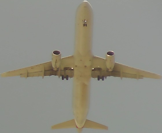 Airplane Picture