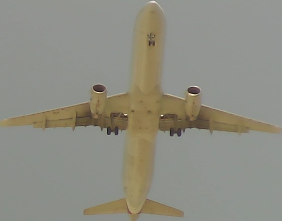 Airplane Picture