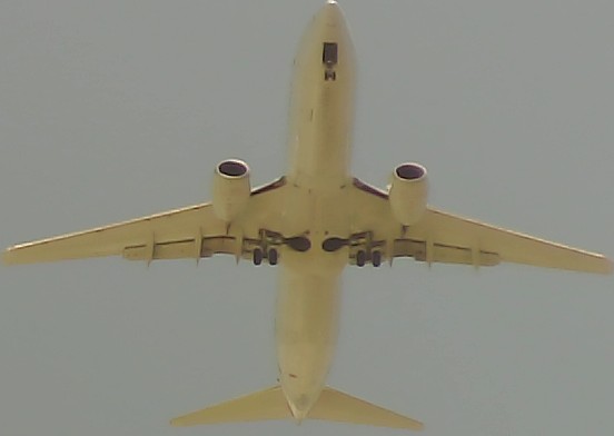 Airplane Picture