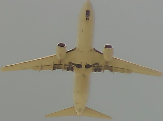 Airplane Picture