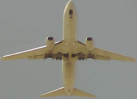 Airplane Picture