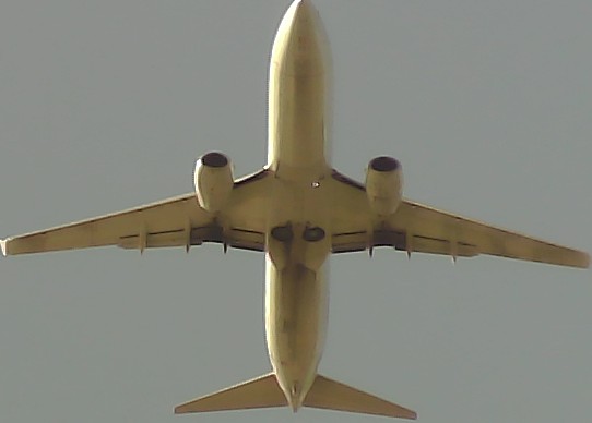 Airplane Picture