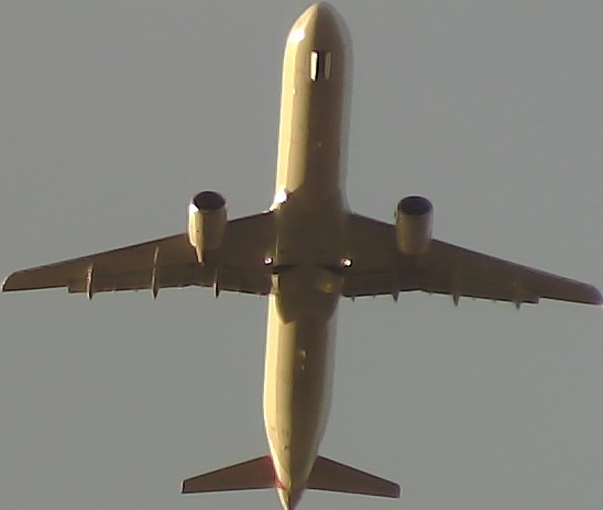 Airplane Picture