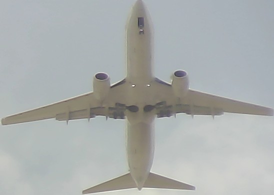 Airplane Picture