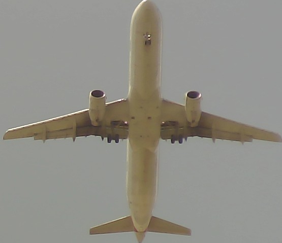 Airplane Picture
