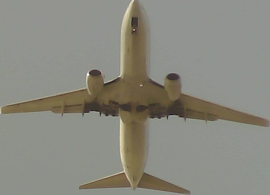 Airplane Picture