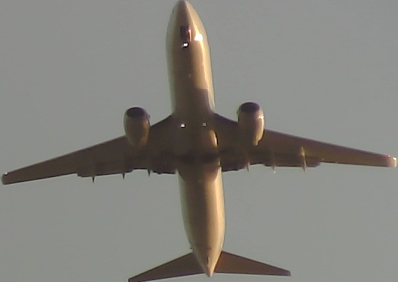 Airplane Picture