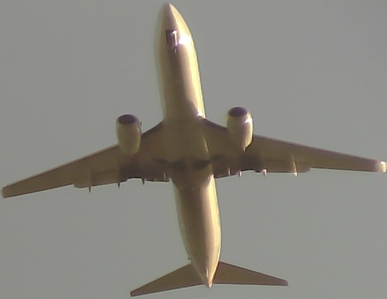 Airplane Picture