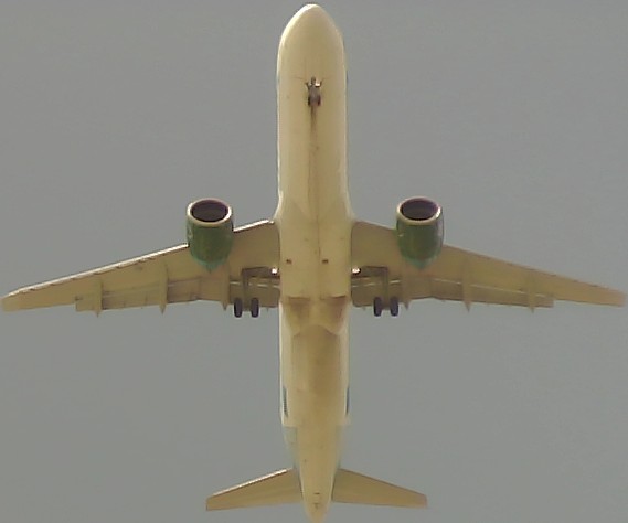 Airplane Picture