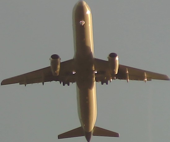 Airplane Picture