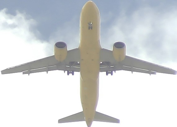 Airplane Picture