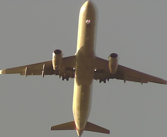 Airplane Picture
