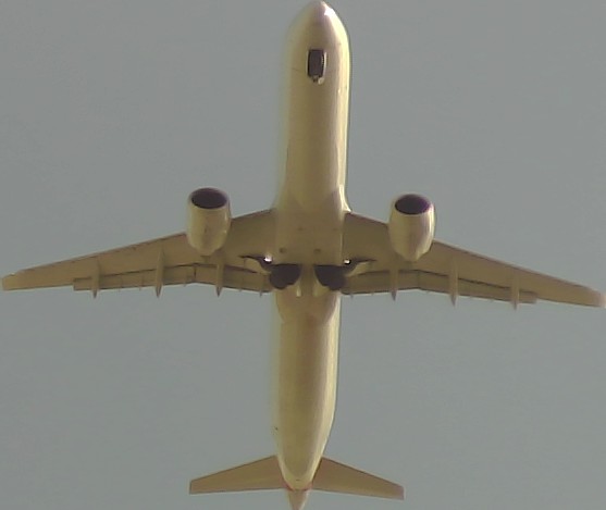 Airplane Picture
