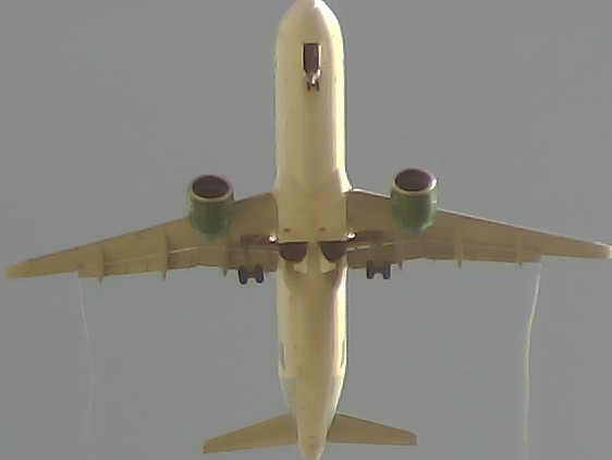 Airplane Picture