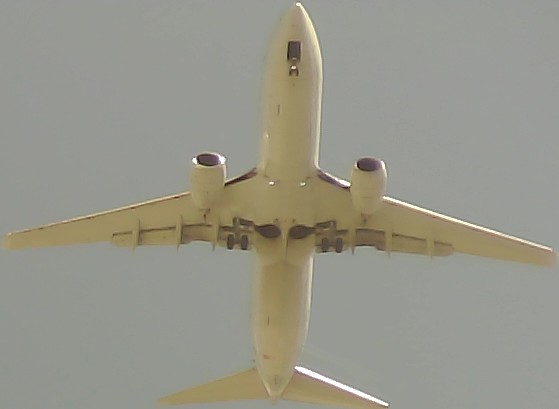 Airplane Picture