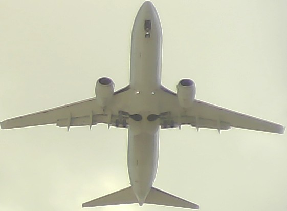 Airplane Picture