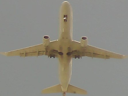 Airplane Picture