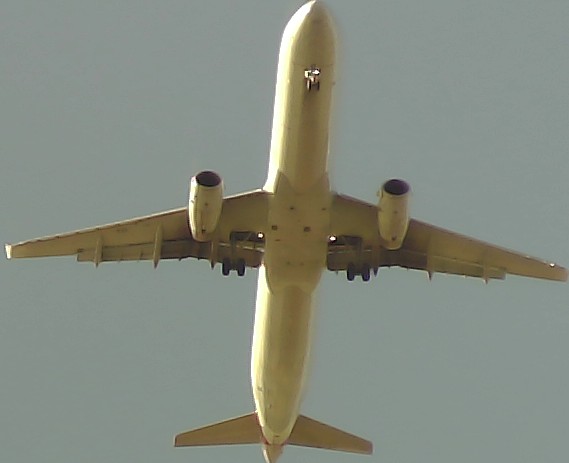 Airplane Picture
