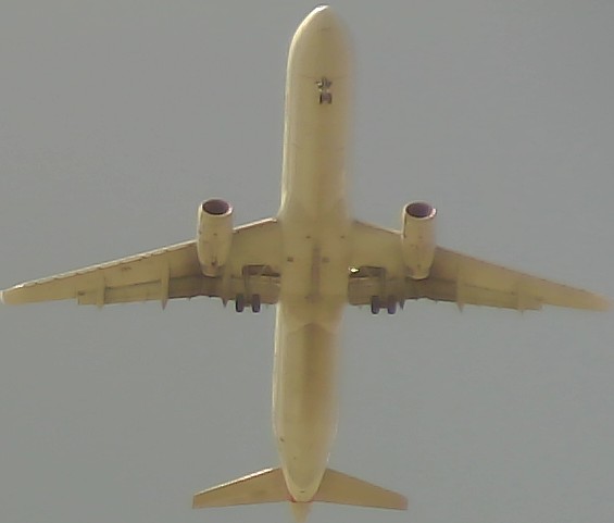 Airplane Picture