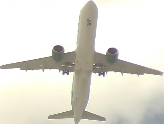 Airplane Picture