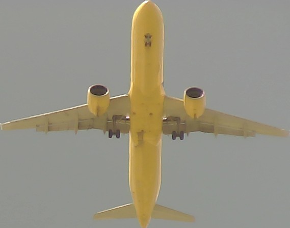 Airplane Picture