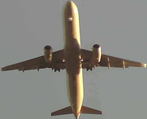 Airplane Picture