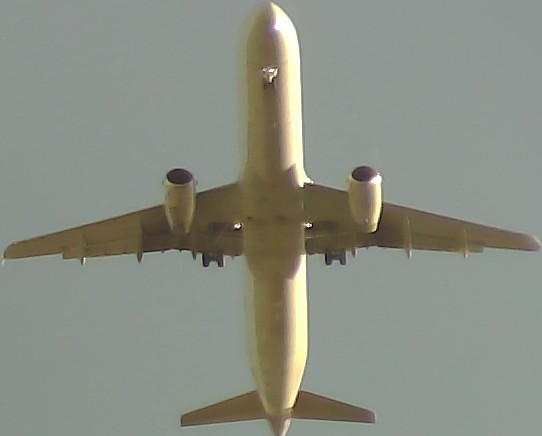 Airplane Picture
