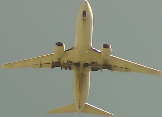 Airplane Picture