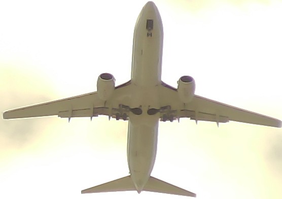 Airplane Picture